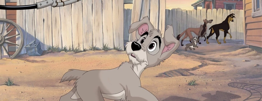 Леди и бродяга 2: Приключения Шалуна